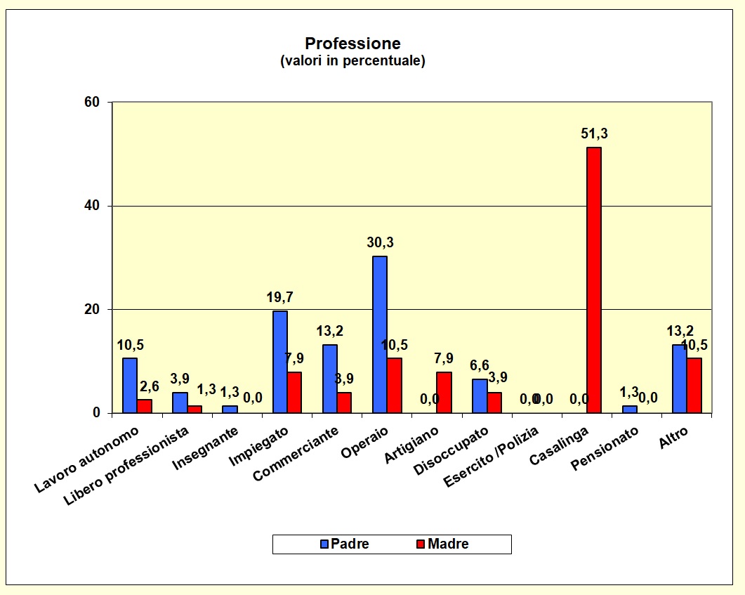 Grafico a barre che individua la professione dei genitori della popolazione scolastica dell’I.T.E.